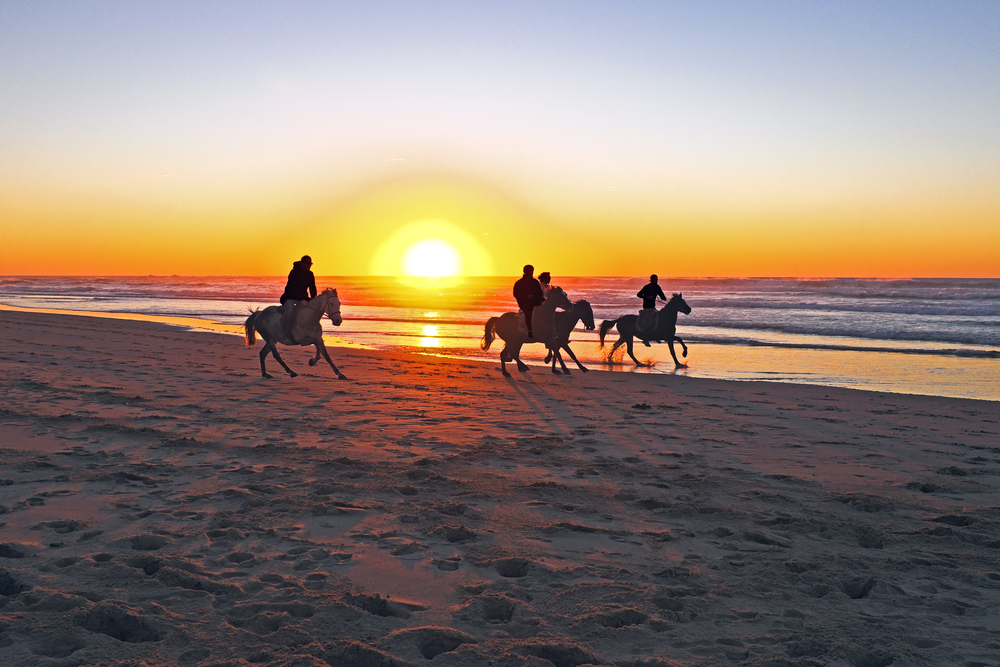 excursiones en sotogrande paseo a caballo